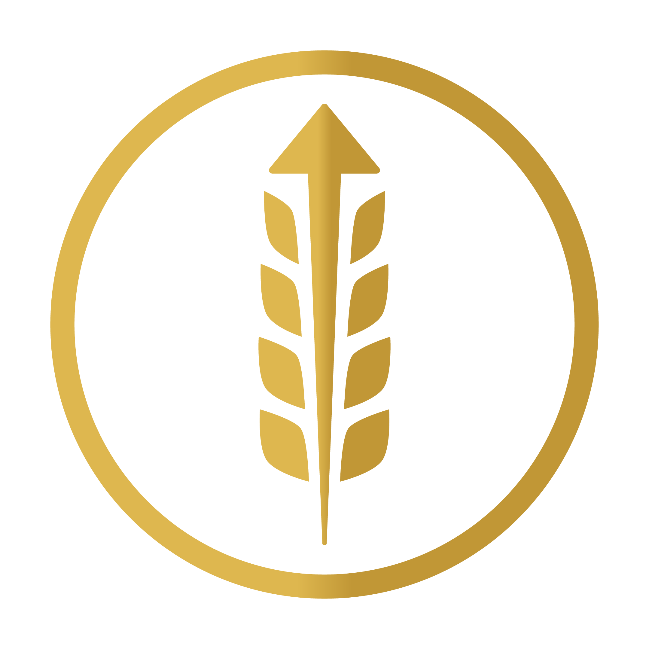 Oats benefit highlight two