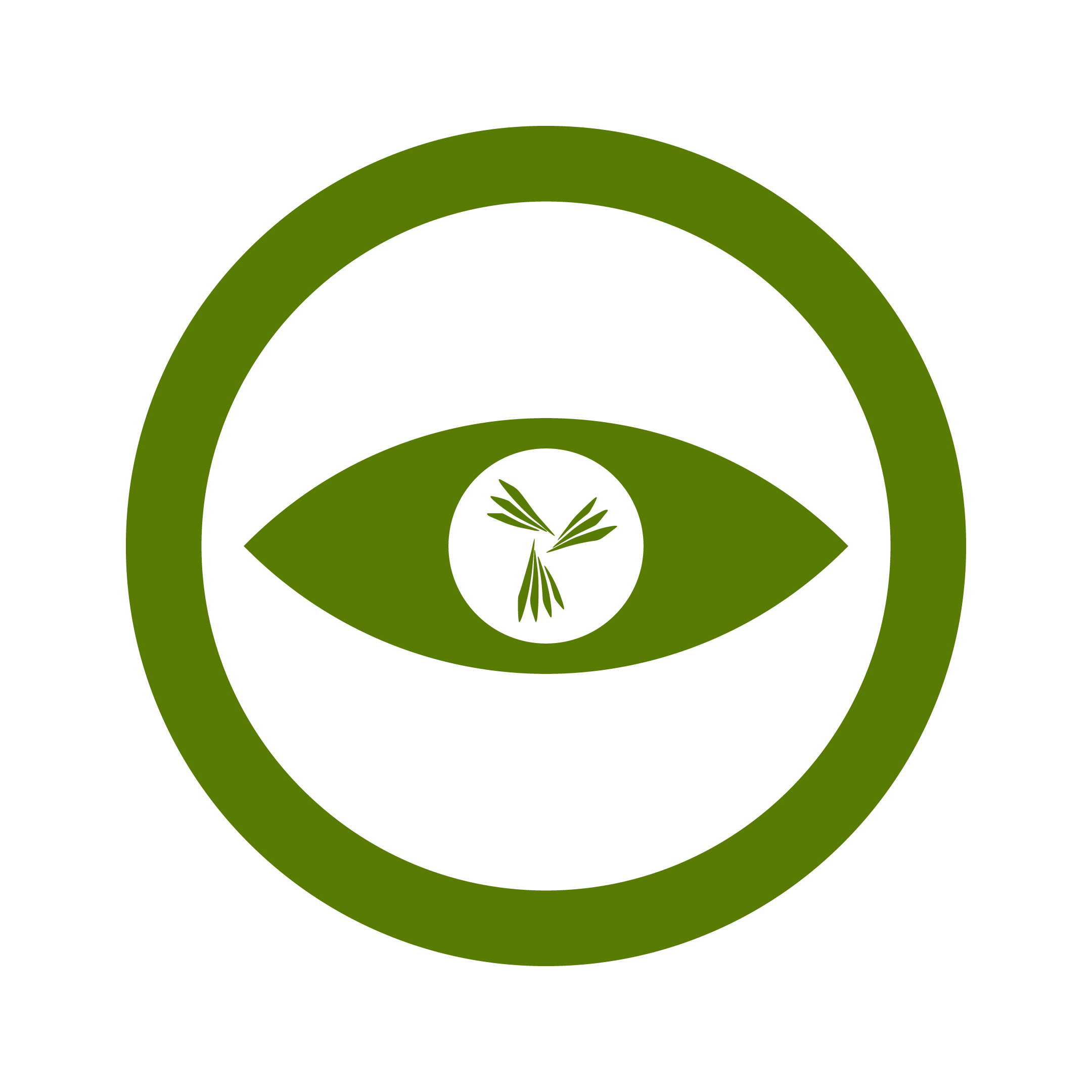 Vision icon
